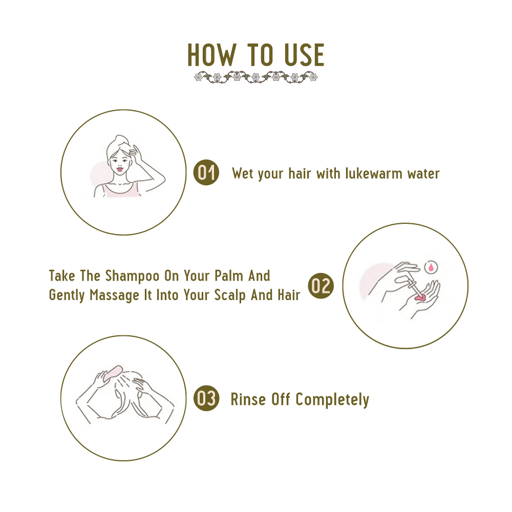 https://cdn.shopify.com/s/files/1/1857/6931/files/SBwxaXCiwc-447233.png?v=1736150412