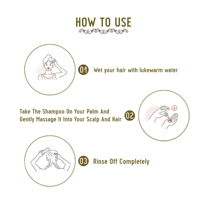 https://cdn.shopify.com/s/files/1/1857/6931/files/SBwxaXCiwc-447233.png?v=1736150412