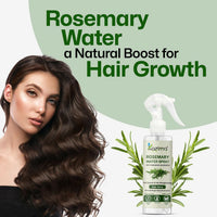https://cdn.shopify.com/s/files/1/1857/6931/files/SEQdgbPOCq.jpg?v=1727762642