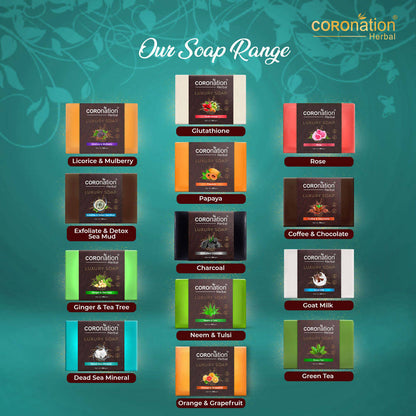 https://cdn.shopify.com/s/files/1/1857/6931/products/SEtBSiSNOp.jpg?v=1651301325