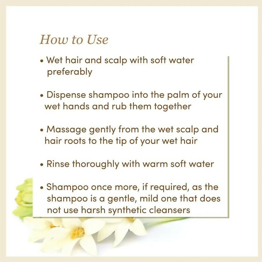 https://cdn.shopify.com/s/files/1/1857/6931/products/SF8G5fAR5o.jpg?v=1667211572