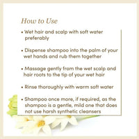 https://cdn.shopify.com/s/files/1/1857/6931/products/SF8G5fAR5o.jpg?v=1667211572