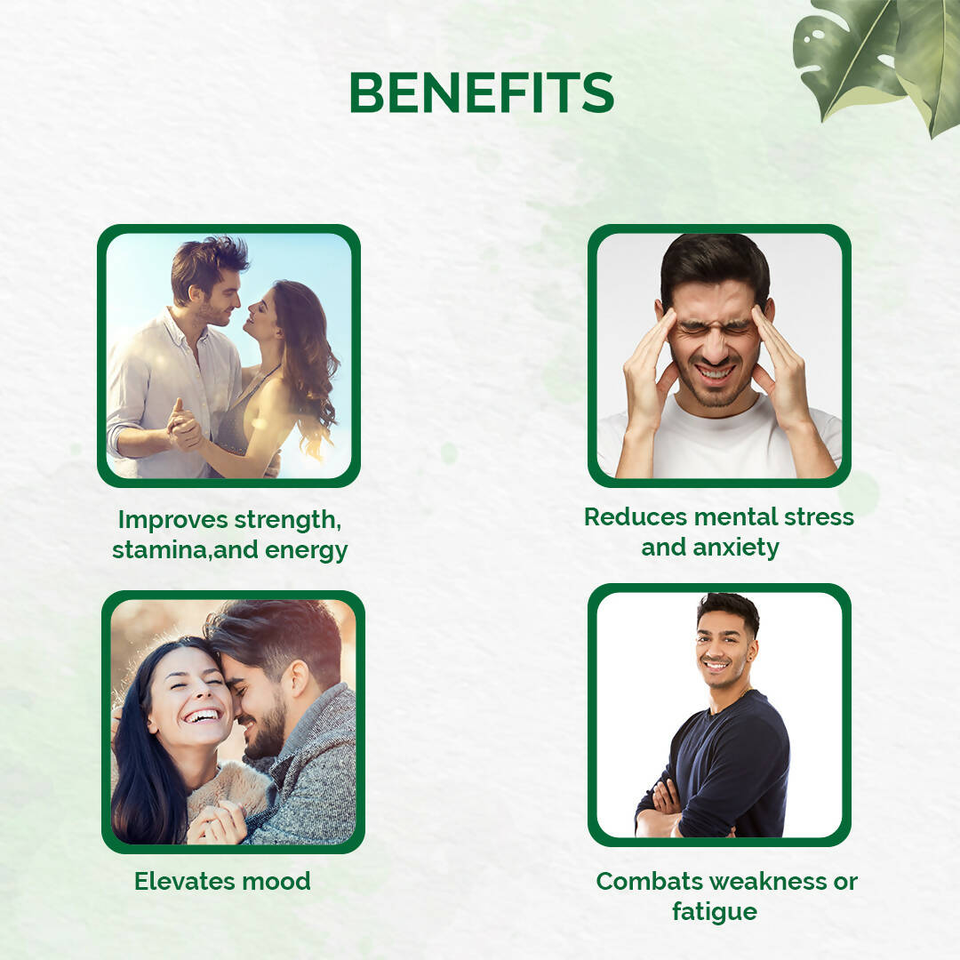 https://cdn.shopify.com/s/files/1/1857/6931/products/SFc0WNoHKI.jpg?v=1670491081
