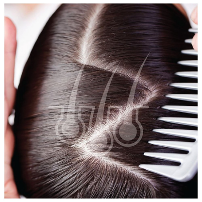https://cdn.shopify.com/s/files/1/1857/6931/files/SGVkI4jZ9r.png?v=1779259125
