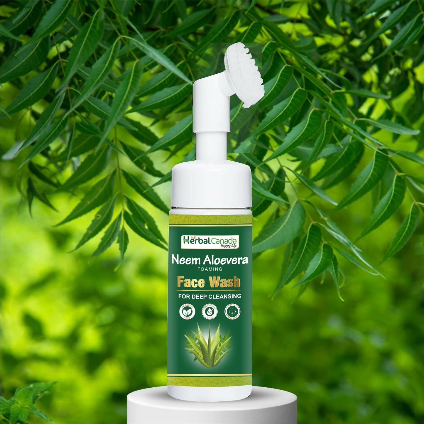 https://cdn.shopify.com/s/files/1/1857/6931/products/SHc12gtDRN.jpg?v=1702375696
