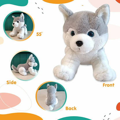 https://cdn.shopify.com/s/files/1/1857/6931/products/SHi1g4OBZr.jpg?v=1666249839