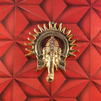 https://cdn.shopify.com/s/files/1/1857/6931/files/SHiu76yKlQ.jpg?v=1714199162
