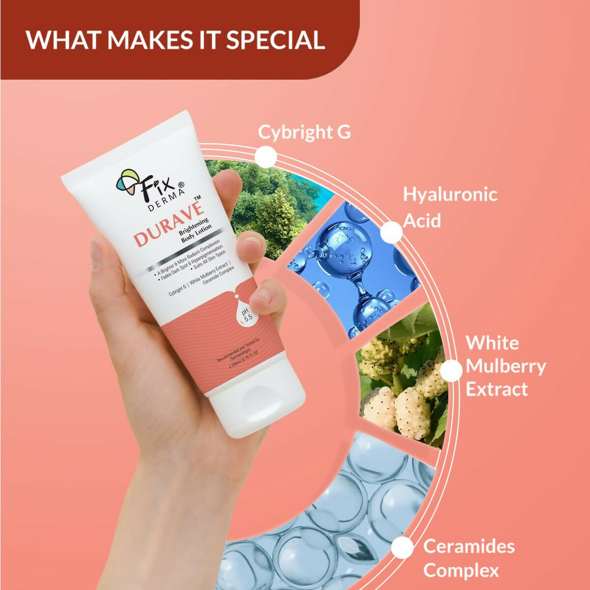 https://cdn.shopify.com/s/files/1/1857/6931/files/SIEHsyeZTd.jpg?v=1727089657