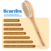 https://cdn.shopify.com/s/files/1/1857/6931/products/SKE1cYVJeQ.jpg?v=1707484553