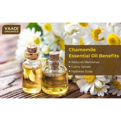 https://cdn.shopify.com/s/files/1/1857/6931/products/SKXx1VRwV6.jpg?v=1618540044