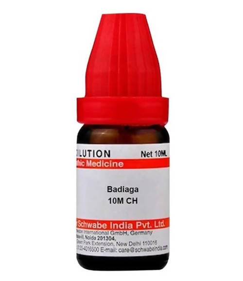 https://cdn.shopify.com/s/files/1/1857/6931/products/SMZOv7suIh.jpg?v=1640863986