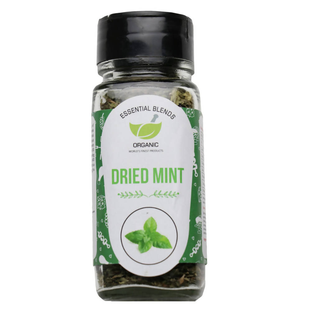 https://cdn.shopify.com/s/files/1/1857/6931/products/SQM2regufs.jpg?v=1654953122