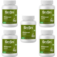 https://cdn.shopify.com/s/files/1/1857/6931/files/SRIS-GENIE-55824-03_a3c623b5-c0e5-4a91-8ccf-f624ba01b84d.jpg?v=1756825649
