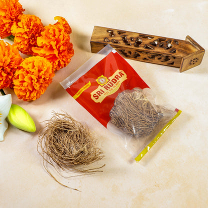 https://cdn.shopify.com/s/files/1/1857/6931/files/SRI_RUDRA_76_a528a11c-f04f-4b37-9d62-5ccc11c89348.jpg?v=1741329151