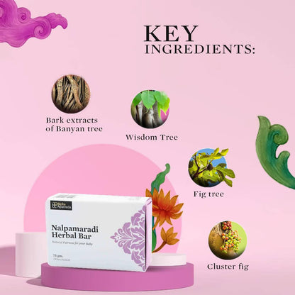 https://cdn.shopify.com/s/files/1/1857/6931/products/SSSk29HeOx.jpg?v=1658300319