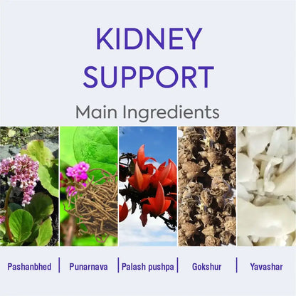 https://cdn.shopify.com/s/files/1/1857/6931/files/ST004-2_1.webp?v=1760093924