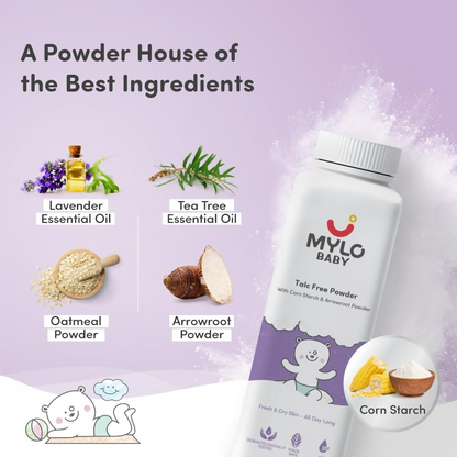 https://cdn.shopify.com/s/files/1/1857/6931/files/SWnobc1BmJ.png?v=1737975696
