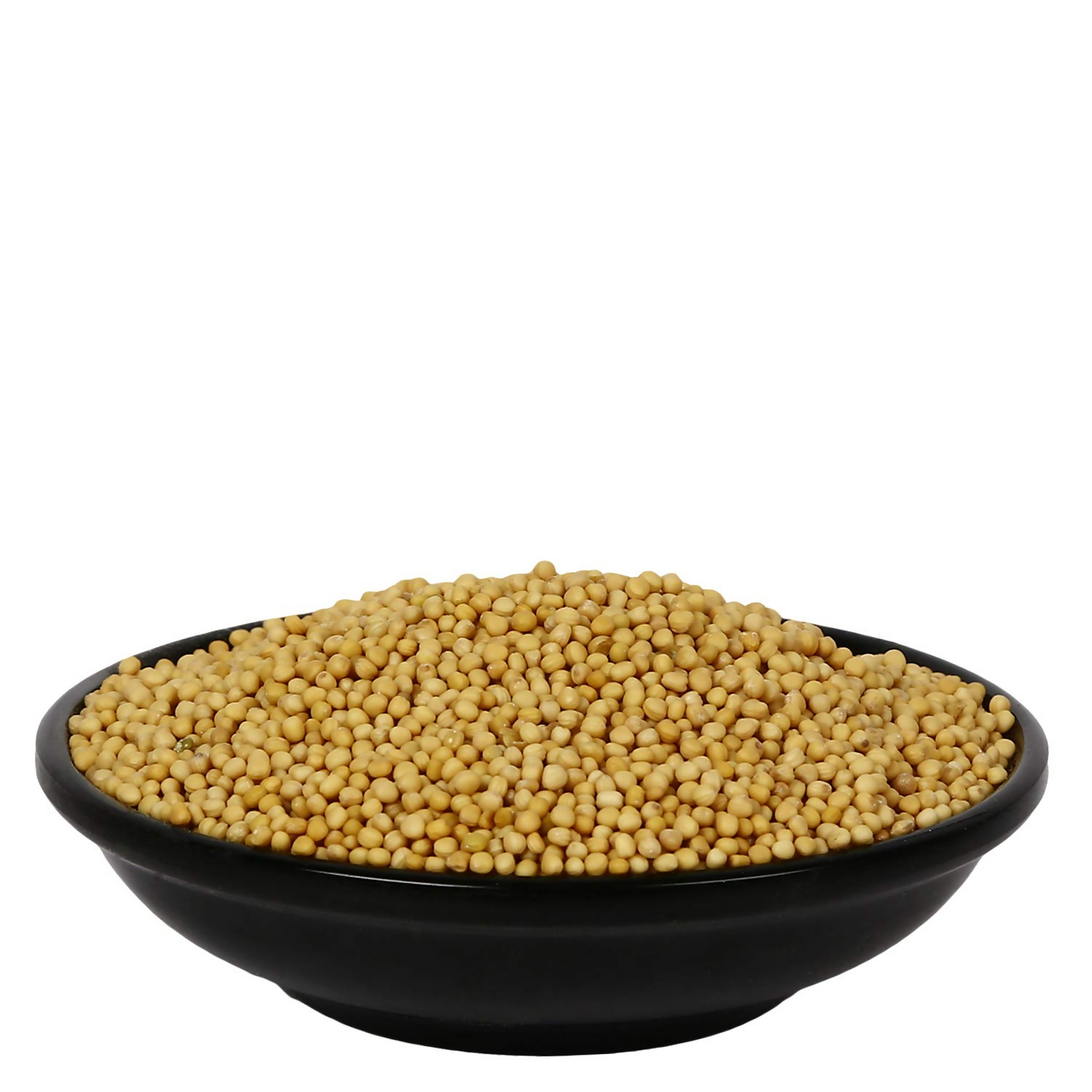 https://cdn.shopify.com/s/files/1/1857/6931/files/SXi4WvkRdl.png?v=1761892355