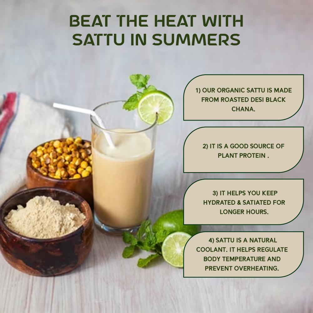 https://cdn.shopify.com/s/files/1/1857/6931/files/Sattu_3_copy.jpg?v=1769505110