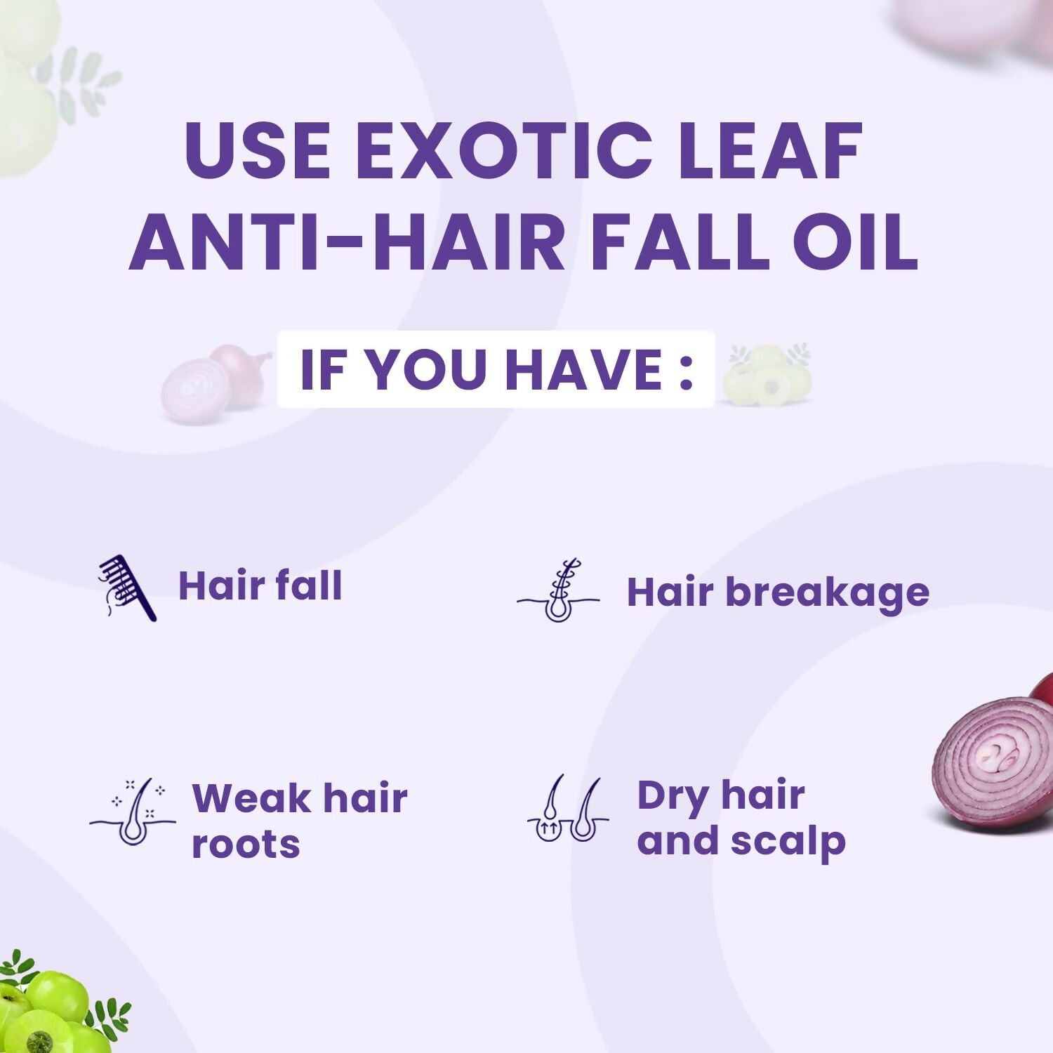 https://cdn.shopify.com/s/files/1/1857/6931/files/SbMjLJBIdp.jpg?v=1725084945