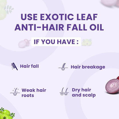 https://cdn.shopify.com/s/files/1/1857/6931/files/SbMjLJBIdp.jpg?v=1725084945