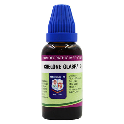 https://cdn.shopify.com/s/files/1/1857/6931/files/SbSeCkhgK9.jpg?v=1717417215