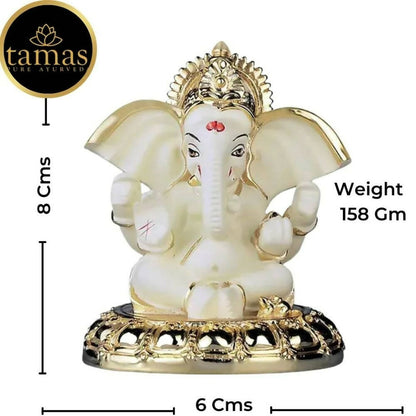 https://cdn.shopify.com/s/files/1/1857/6931/products/SbbOvVBD3H.jpg?v=1676010928