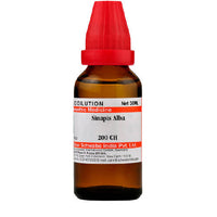 https://cdn.shopify.com/s/files/1/1857/6931/products/ScG9WNplHp.jpg?v=1640865805