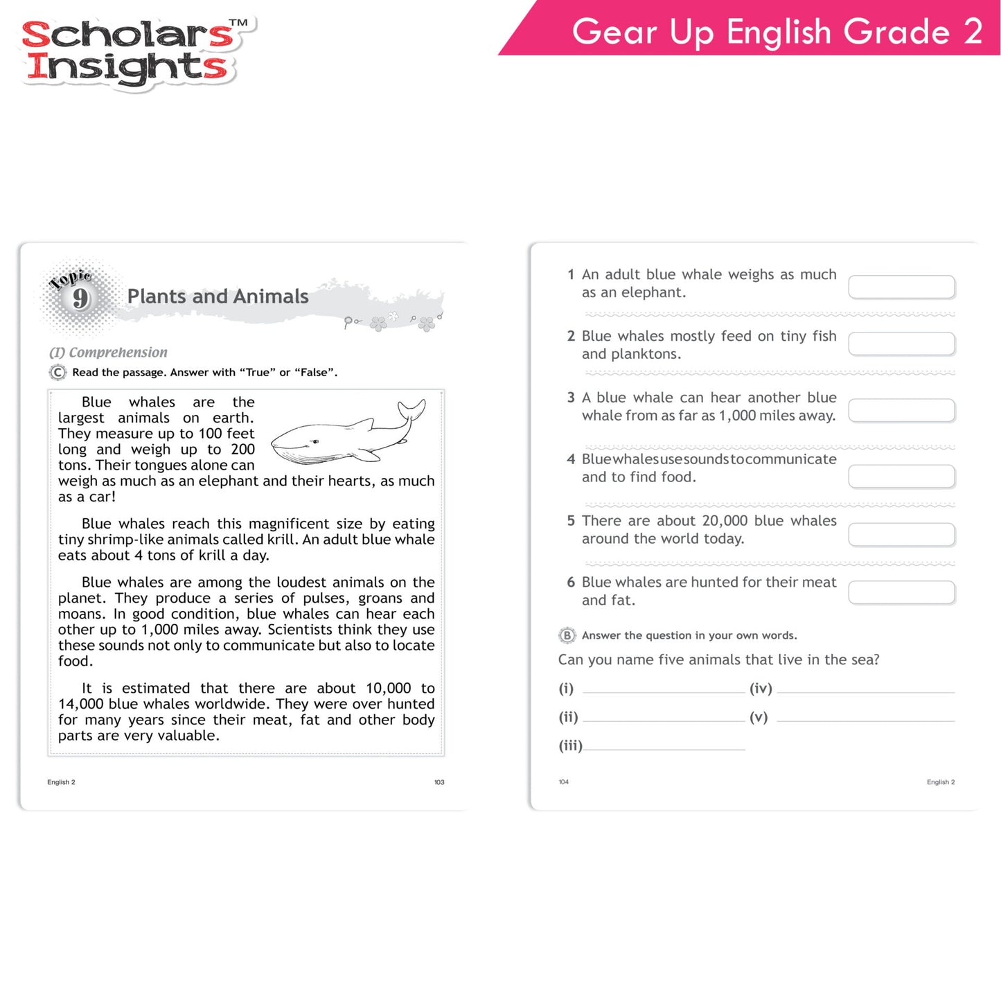 https://cdn.shopify.com/s/files/1/1857/6931/products/Scholars-Insights-Gear-Up-English-Grade-2-7.jpg?v=1671519969