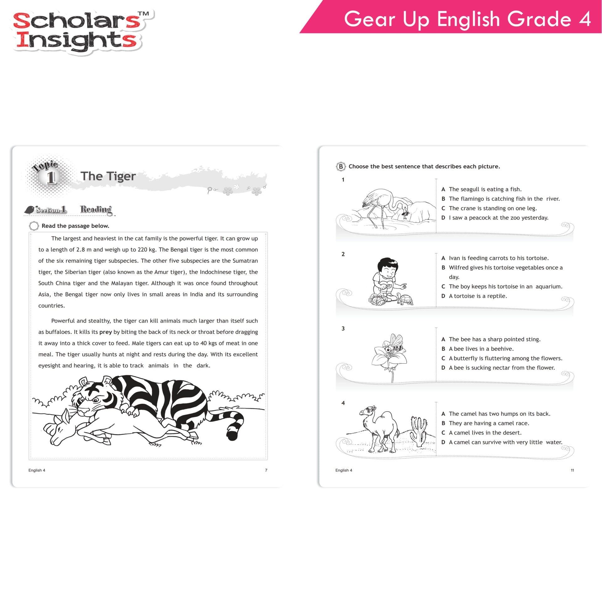 https://cdn.shopify.com/s/files/1/1857/6931/products/Scholars-Insights-Gear-Up-English-Grade-4-4.jpg?v=1671520405