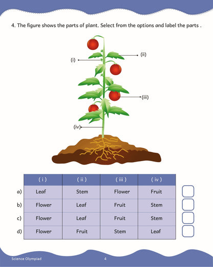 https://cdn.shopify.com/s/files/1/1857/6931/products/Scholars-Insights-Science-Olympiad-Class-2-4-1.jpg?v=1672653143