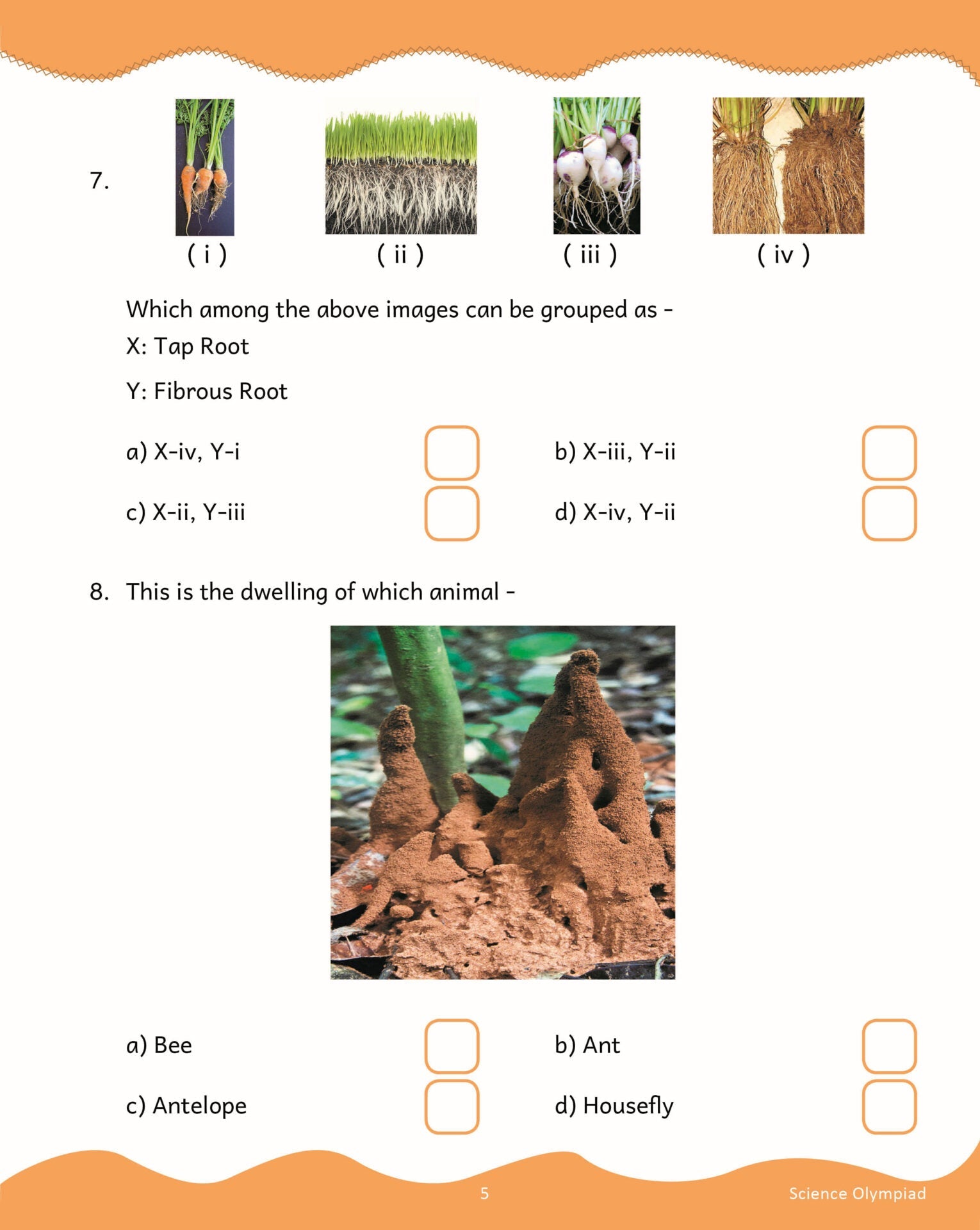 https://cdn.shopify.com/s/files/1/1857/6931/products/Scholars-Insights-Science-Olympiad-Class-3-5-1.jpg?v=1671527736