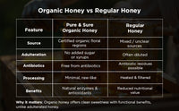 https://cdn.shopify.com/s/files/1/1857/6931/files/Section_6_3.jpg?v=1769164921