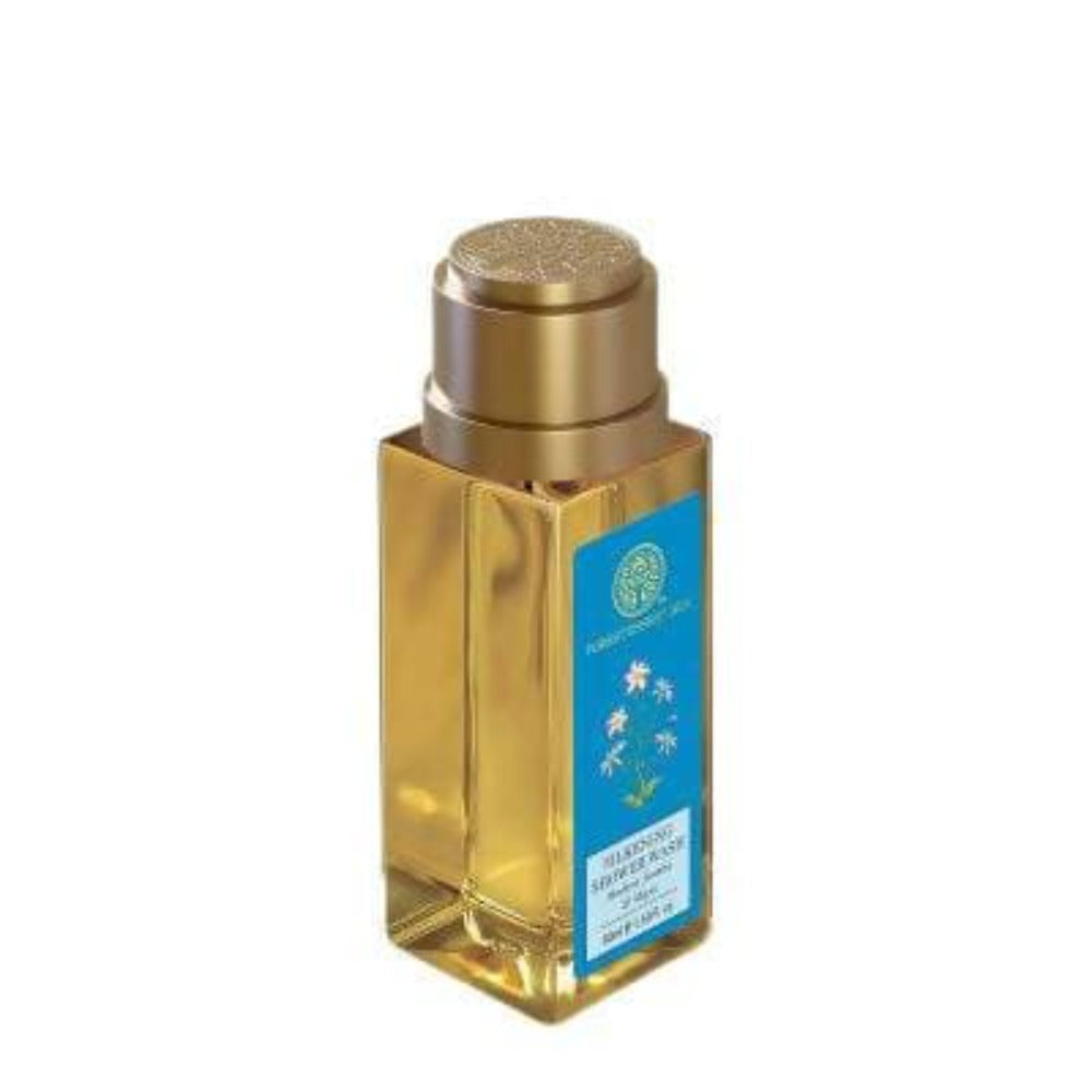 https://cdn.shopify.com/s/files/1/1857/6931/products/ShWIxceMXb.jpg?v=1623750383