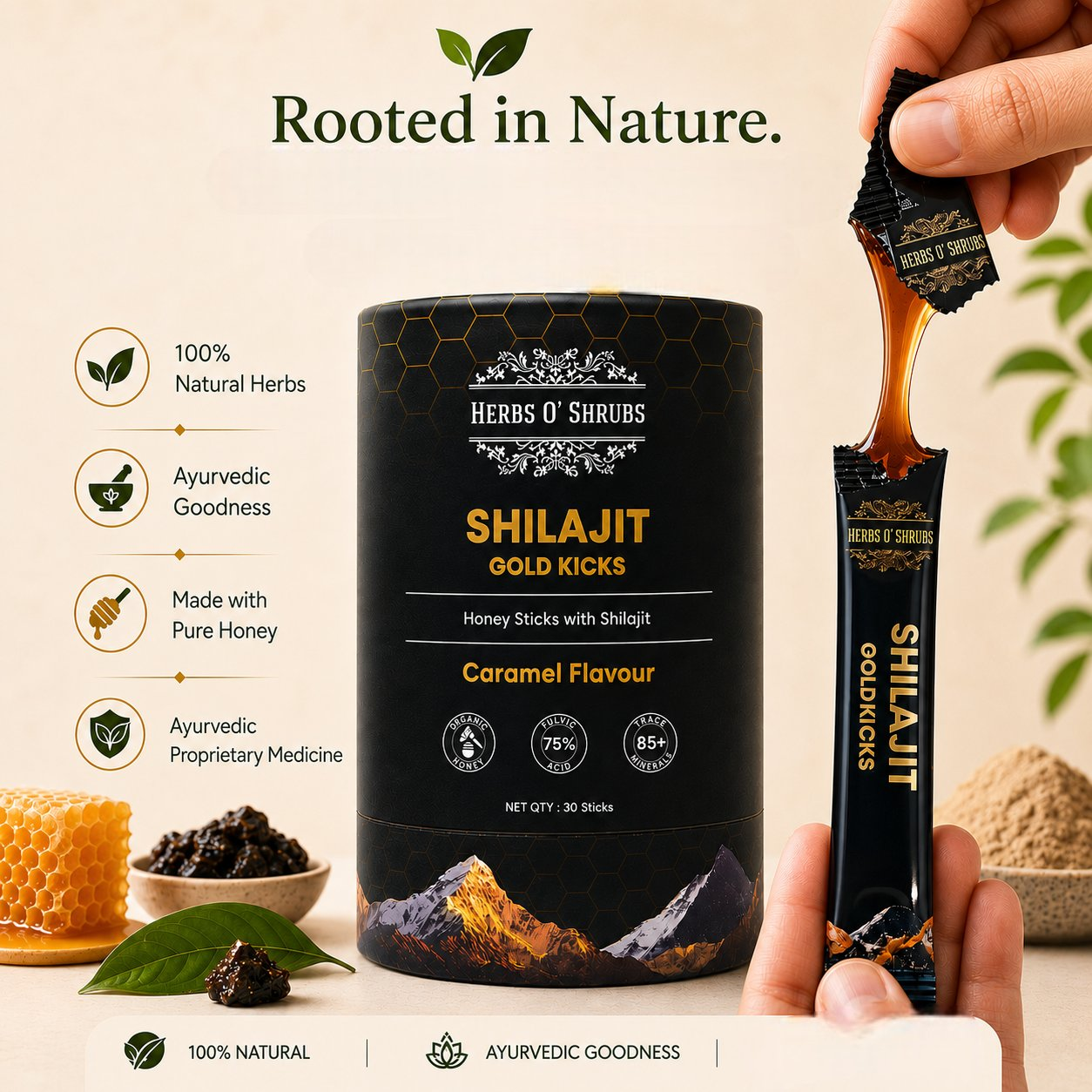 https://cdn.shopify.com/s/files/1/1857/6931/files/ShilajitGoldKicks-Image1-Photoroom.png?v=1782537647