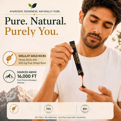 https://cdn.shopify.com/s/files/1/1857/6931/files/ShilajitGoldKicks-Image2-Photoroom.png?v=1782537648