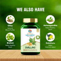 https://cdn.shopify.com/s/files/1/1857/6931/products/ShokM4ssoX.jpg?v=1683805983