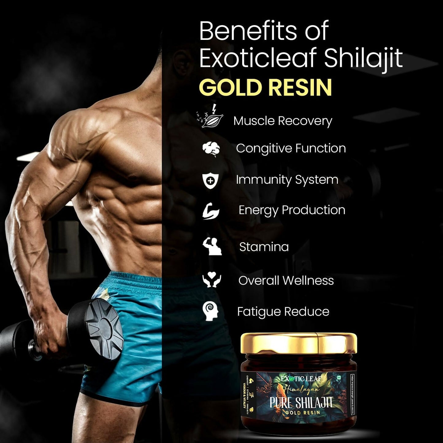 https://cdn.shopify.com/s/files/1/1857/6931/files/SjGtGu13t2.jpg?v=1725528939