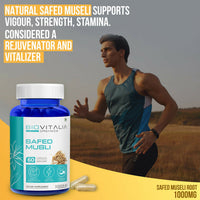 https://cdn.shopify.com/s/files/1/1857/6931/files/SmMHbRb6cN.jpg?v=1727415367