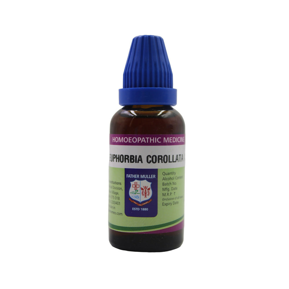 https://cdn.shopify.com/s/files/1/1857/6931/files/SnBun5gpcp.jpg?v=1717235137