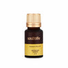 https://cdn.shopify.com/s/files/1/1857/6931/products/SoultreeRadianceFaceOilWithSaffron_Turmeric.jpg?v=1630031462