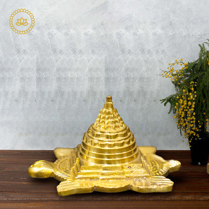 https://cdn.shopify.com/s/files/1/1857/6931/files/SriYantraonTortoiseforVastuMC00135.jpg?v=1762391408