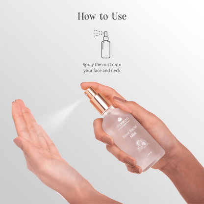 https://cdn.shopify.com/s/files/1/1857/6931/files/Ss57wWZzsA.png?v=1724325633