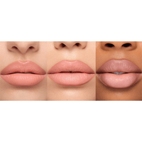 https://cdn.shopify.com/s/files/1/1857/6931/files/SuCgKClthm-753301.png?v=1736147283