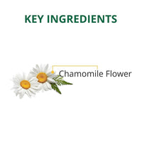 https://cdn.shopify.com/s/files/1/1857/6931/products/SxnOXPYCY4.jpg?v=1700827231