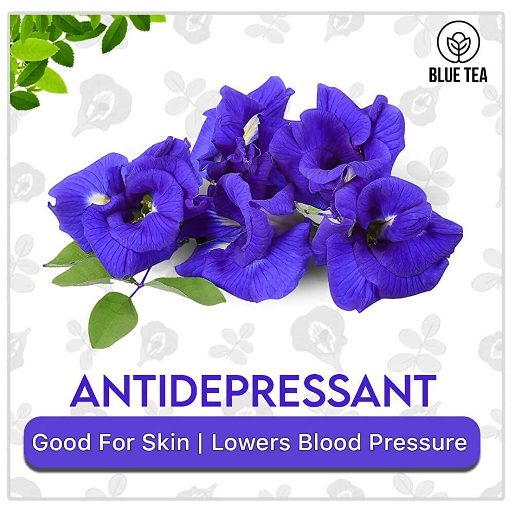 https://cdn.shopify.com/s/files/1/1857/6931/products/Sy2Hybp0XF.jpg?v=1712226029