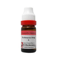 https://cdn.shopify.com/s/files/1/1857/6931/products/T0iylA1ejH.jpg?v=1661146858