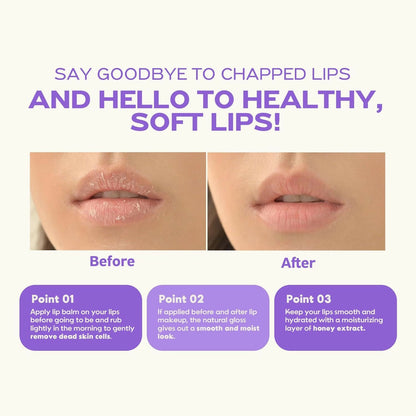 https://cdn.shopify.com/s/files/1/1857/6931/files/T2J8XPbHsW.jpg?v=1767608468