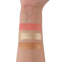 https://cdn.shopify.com/s/files/1/1857/6931/files/T2P0Srcu84.png?v=1730116079
