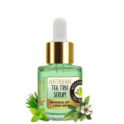 https://cdn.shopify.com/s/files/1/1857/6931/products/T2nubSRgs8.jpg?v=1634035678
